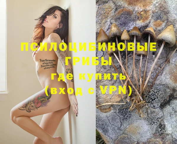 бошки Козельск