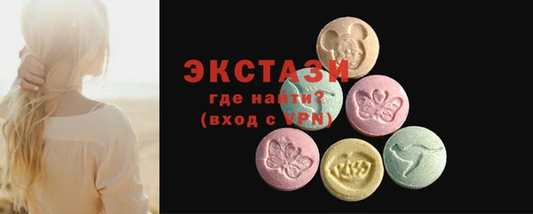 дмт Краснослободск
