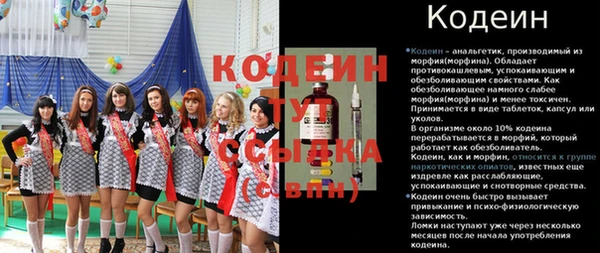 ECSTASY Кодинск