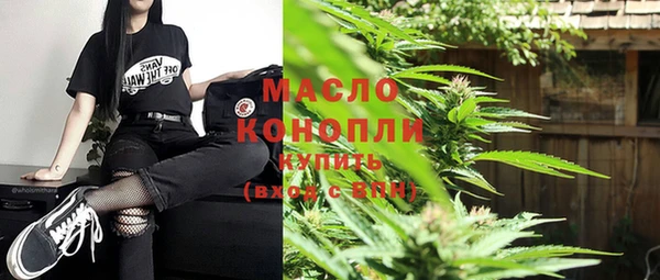 дмт Краснослободск