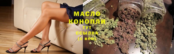 дмт Краснослободск