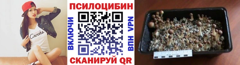Галлюциногенные грибы Cubensis  Скопин 