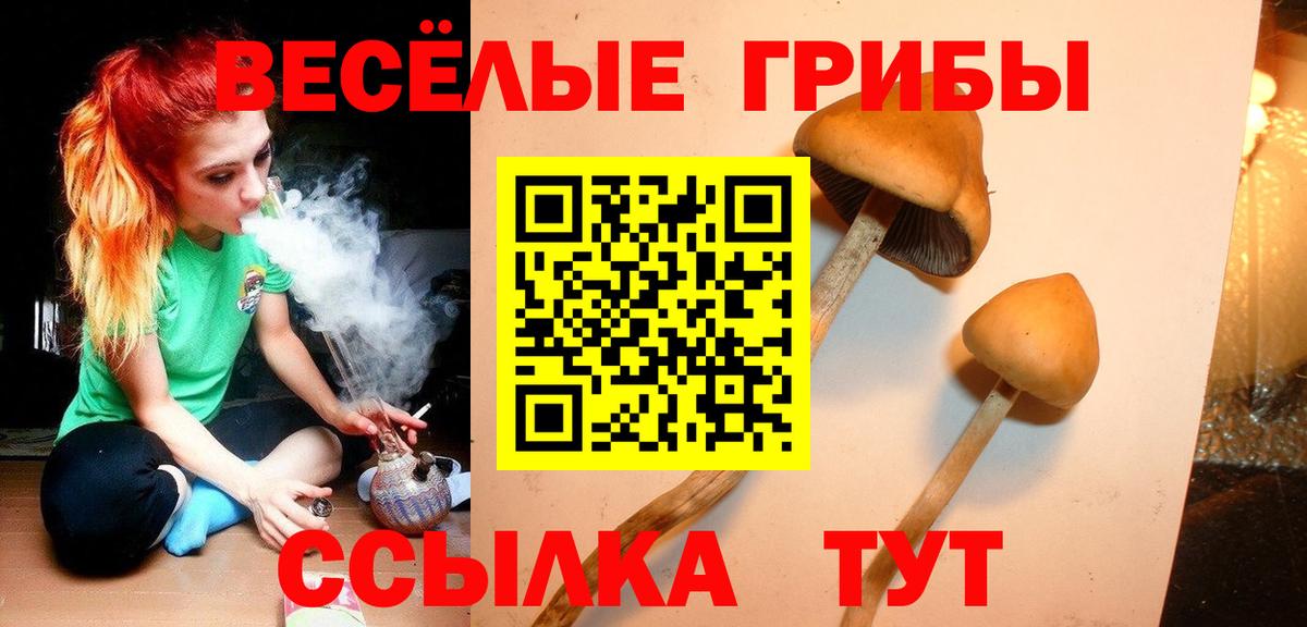 Псилоцибиновые грибы Magic Shrooms Скопин