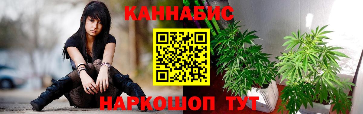 Каннабис OG Kush Скопин